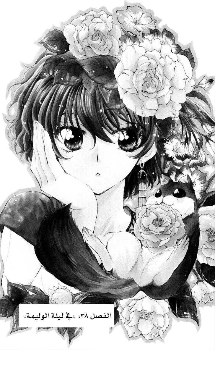 Read Akatsuki no Yona AR Manga Online