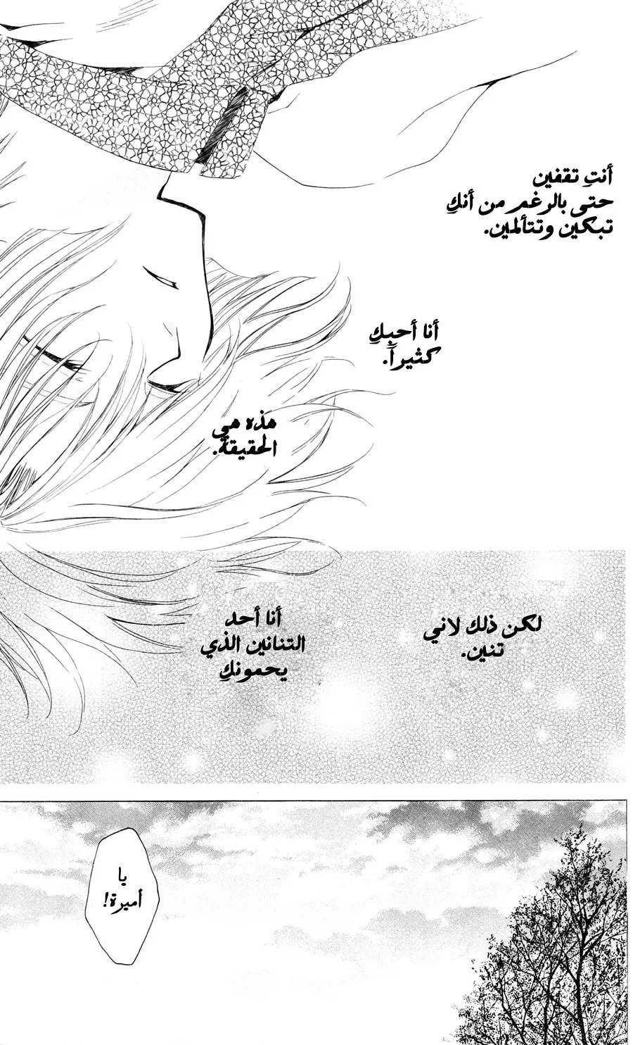 Read Akatsuki no Yona AR Manga Online