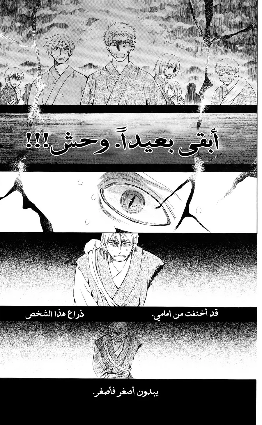 Read Akatsuki no Yona AR Manga Online