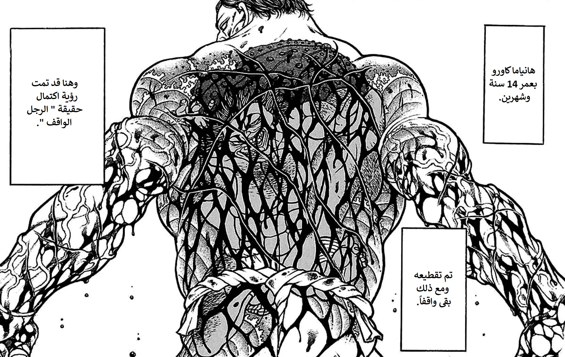 Read Baki Dou AR Manga Online