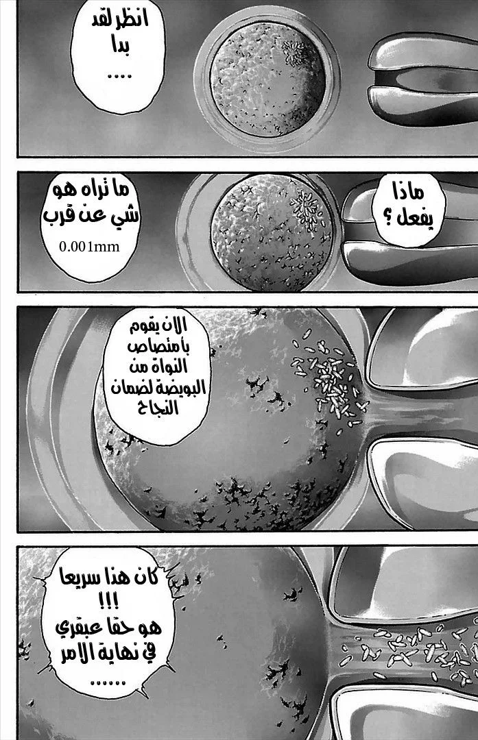 Read Baki Dou AR Manga Online