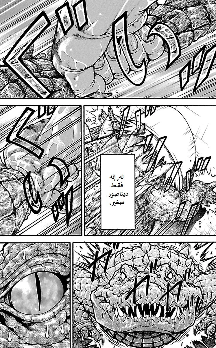 Read Baki Dou AR Manga Online