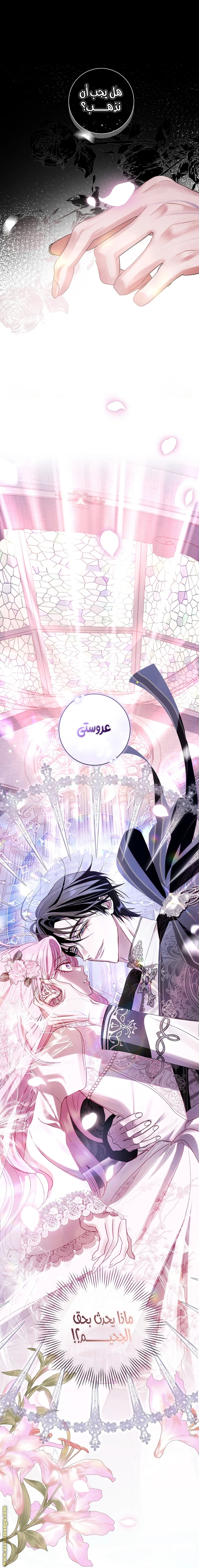 Read Black Man, I’ll Do Everything For You  Except Marriage! AR Manga Online