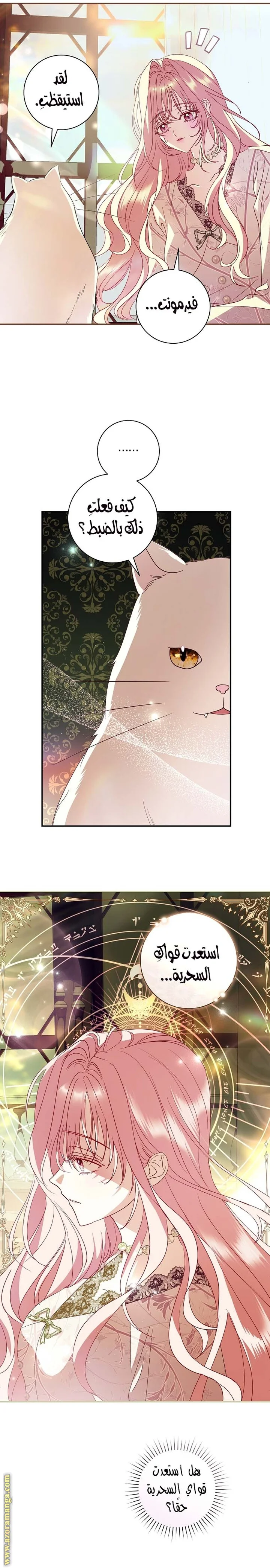 Read Black Man, I’ll Do Everything For You  Except Marriage! AR Manga Online