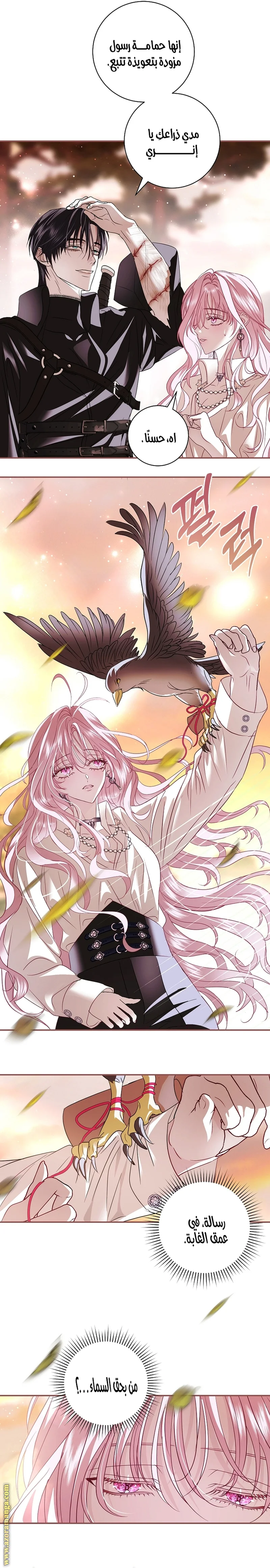 Read Black Man, I’ll Do Everything For You  Except Marriage! AR Manga Online