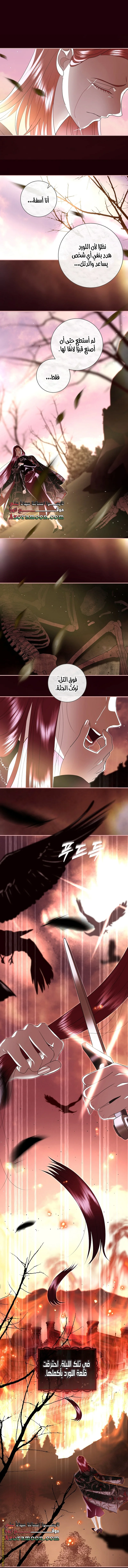 Read Black Man, I’ll Do Everything For You  Except Marriage! AR Manga Online