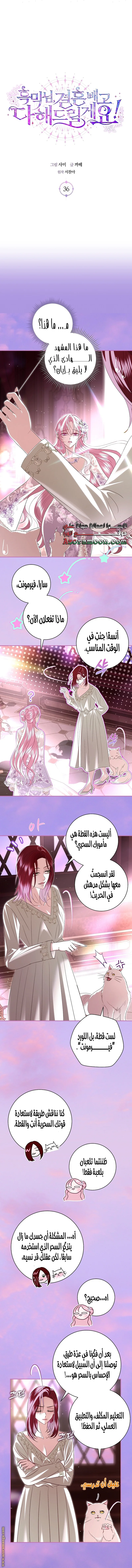 Read Black Man, I’ll Do Everything For You  Except Marriage! AR Manga Online