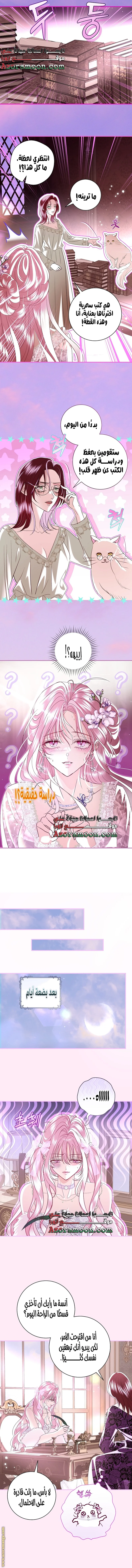 Read Black Man, I’ll Do Everything For You  Except Marriage! AR Manga Online