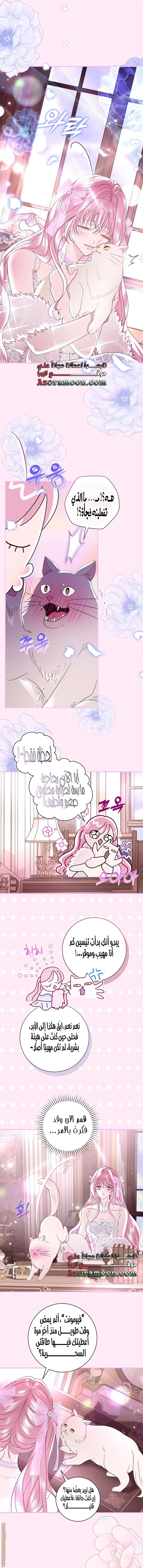 Read Black Man, I’ll Do Everything For You  Except Marriage! AR Manga Online