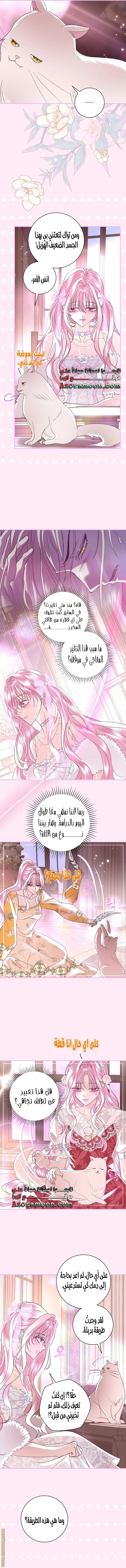 Read Black Man, I’ll Do Everything For You  Except Marriage! AR Manga Online