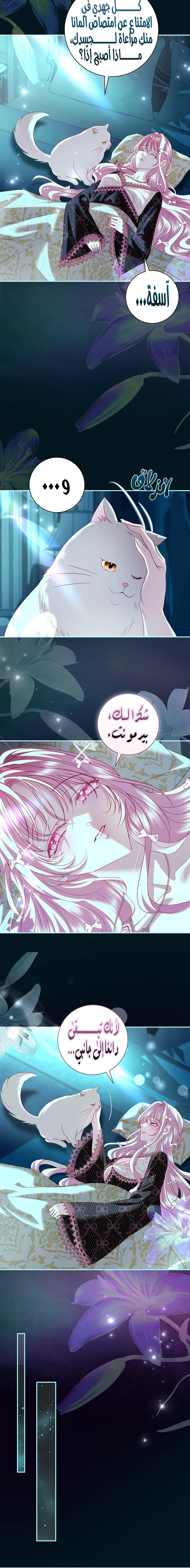 Read Black Man, I’ll Do Everything For You  Except Marriage! AR Manga Online