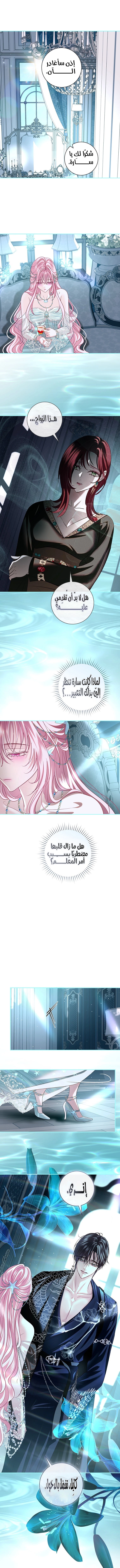 Read Black Man, I’ll Do Everything For You  Except Marriage! AR Manga Online