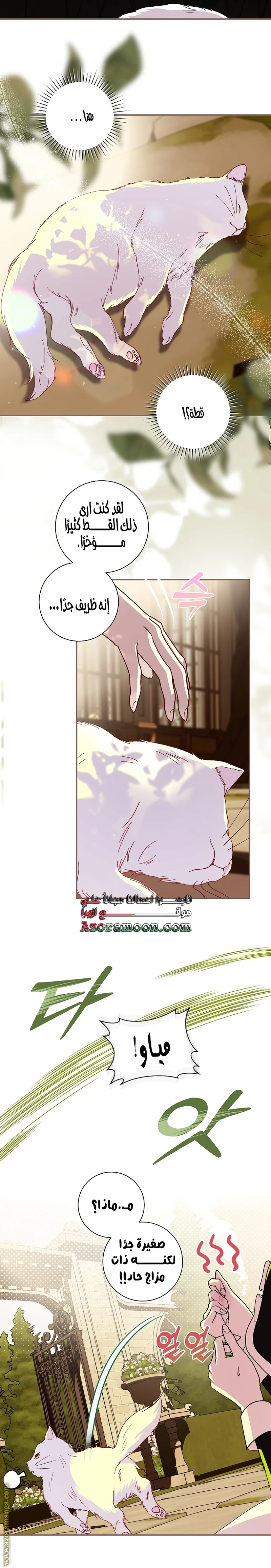 Read Black Man, I’ll Do Everything For You  Except Marriage! AR Manga Online