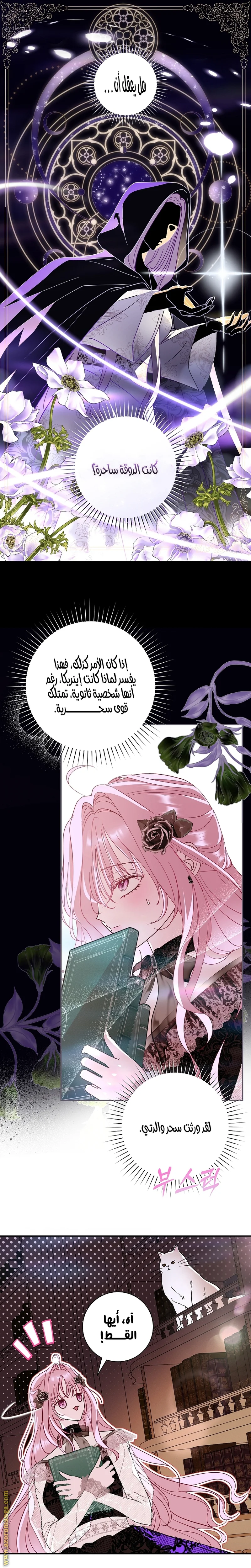 Read Black Man, I’ll Do Everything For You  Except Marriage! AR Manga Online