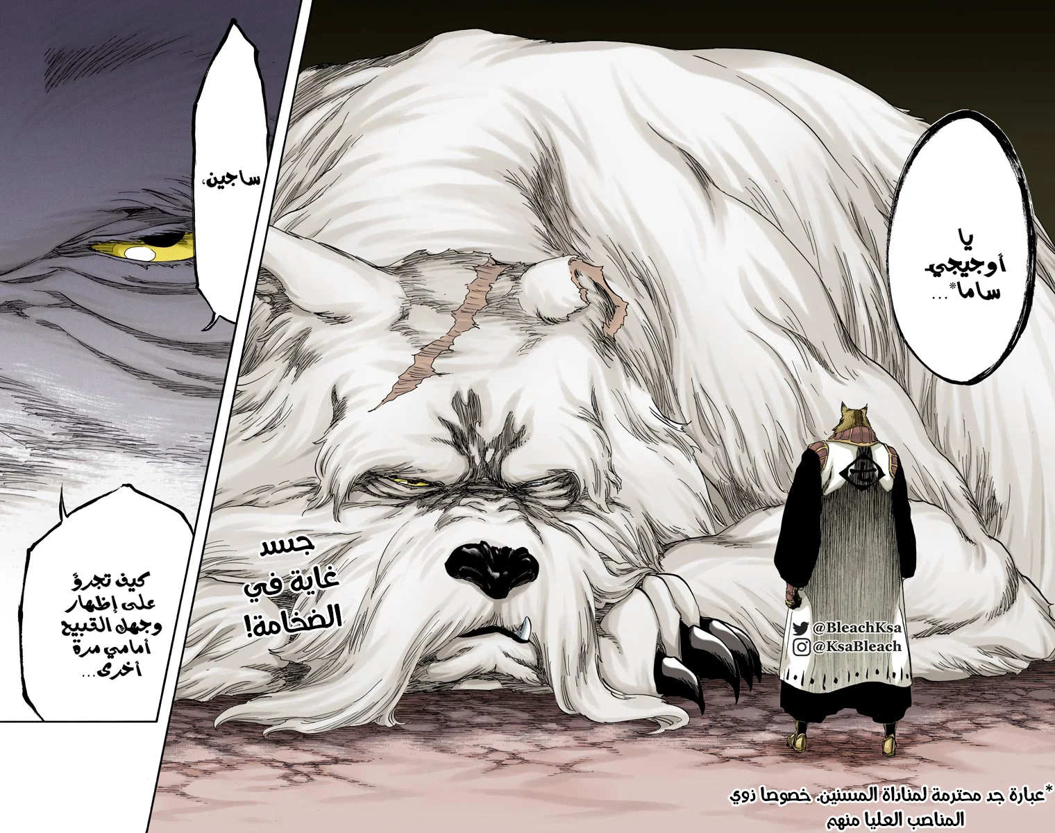 Read Bleach – Digital Colored AR Manga Online
