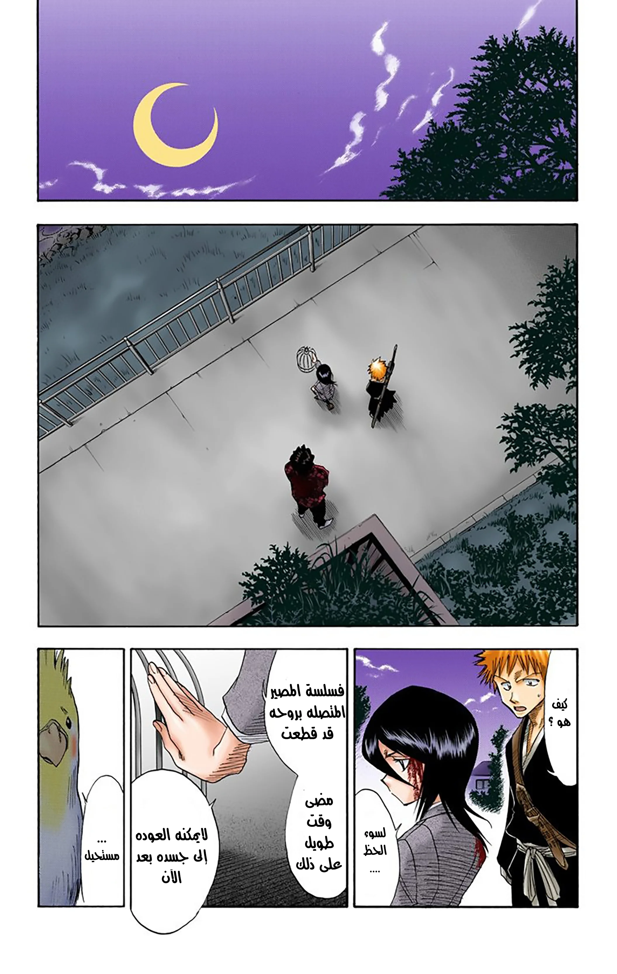 Read Bleach – Digital Colored AR Manga Online