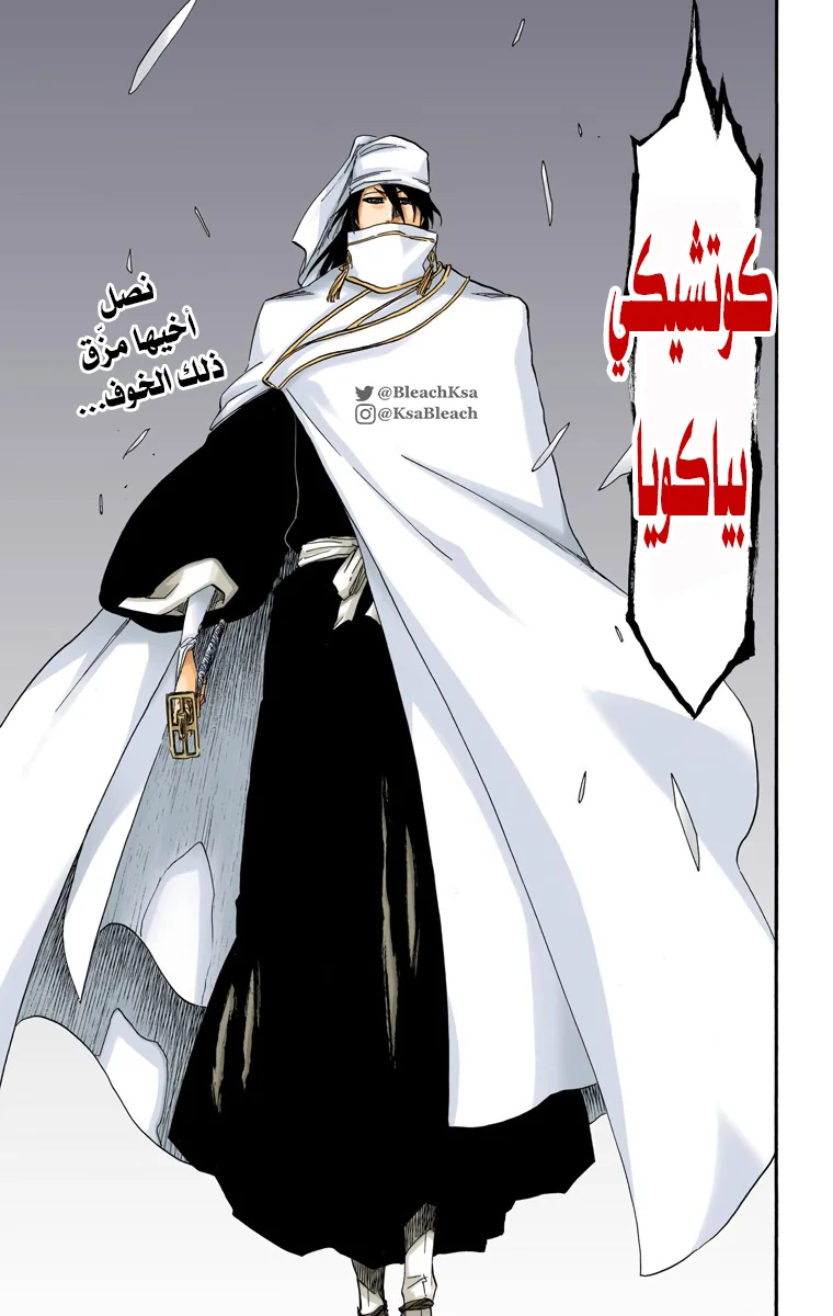 Read Bleach – Digital Colored AR Manga Online