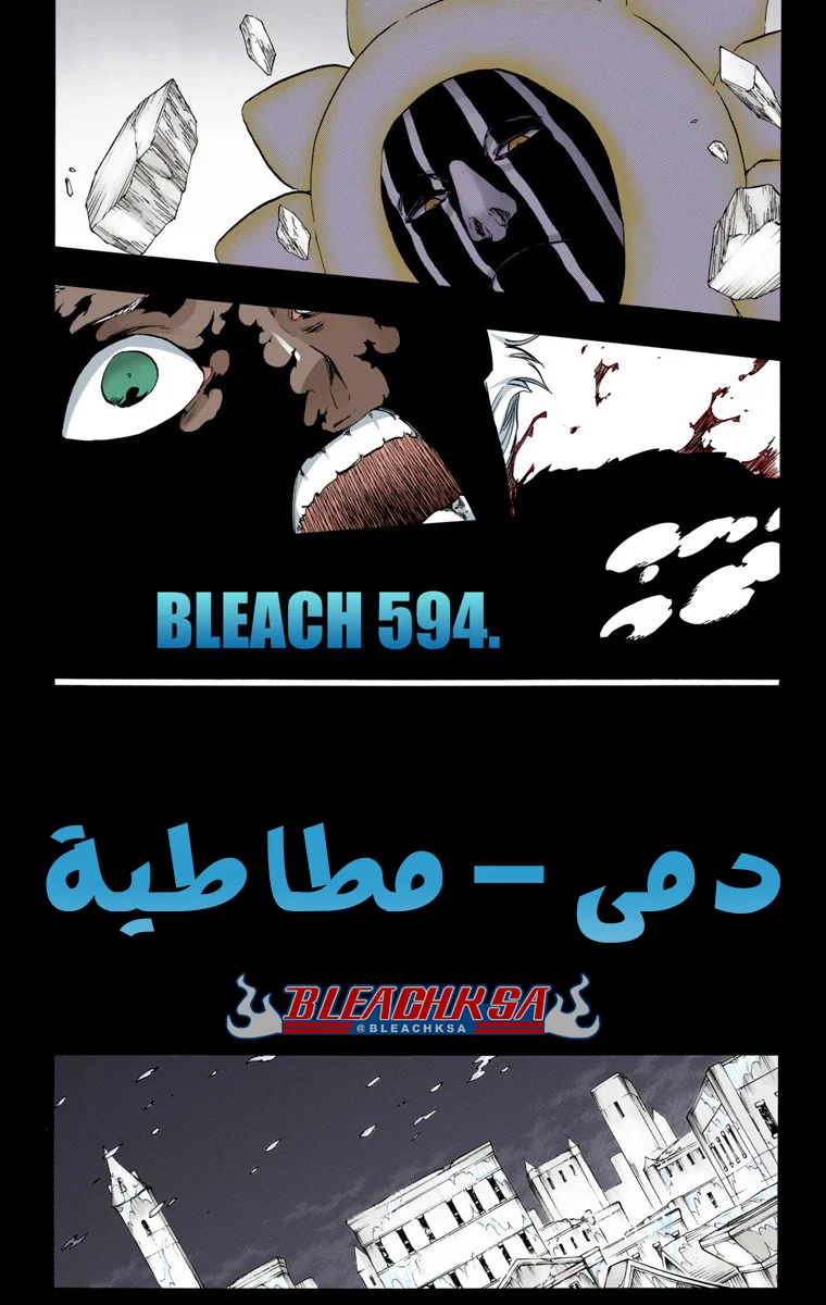 Read Bleach – Digital Colored AR Manga Online