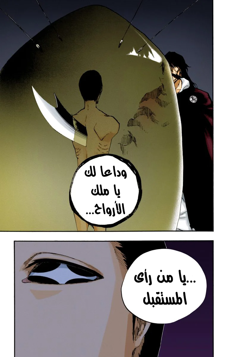 Read Bleach – Digital Colored AR Manga Online