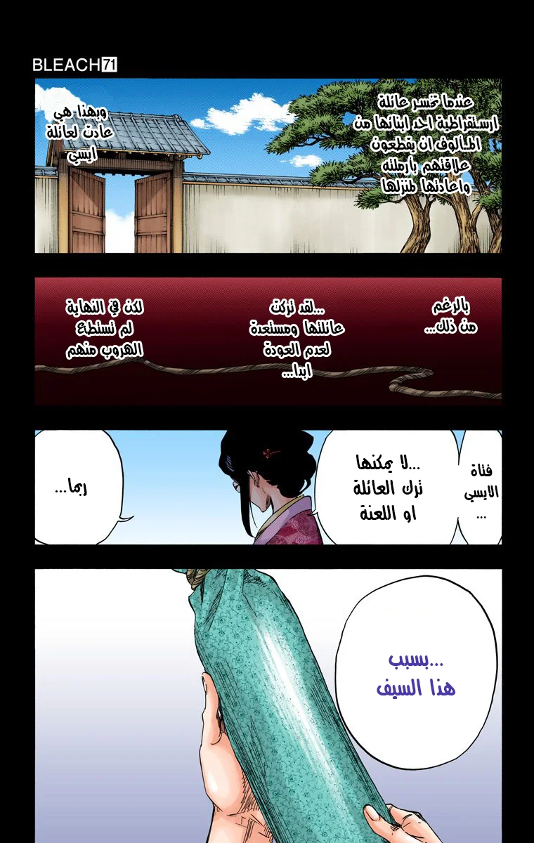 Read Bleach – Digital Colored AR Manga Online