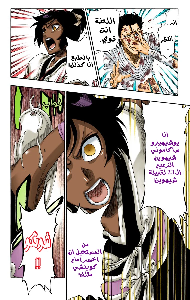Read Bleach – Digital Colored AR Manga Online