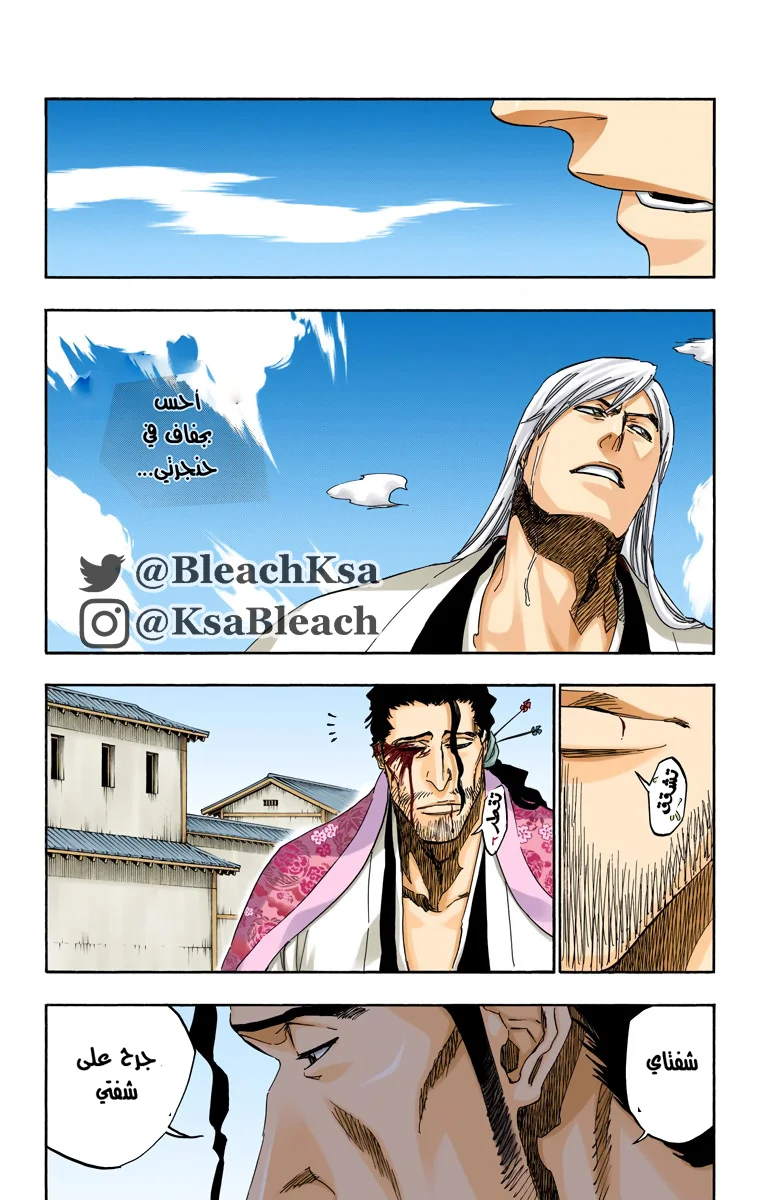 Read Bleach – Digital Colored AR Manga Online