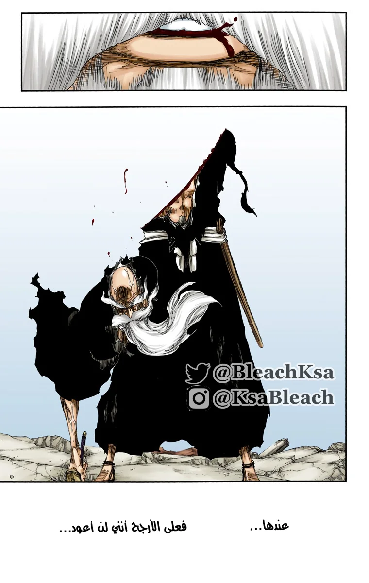 Read Bleach – Digital Colored AR Manga Online