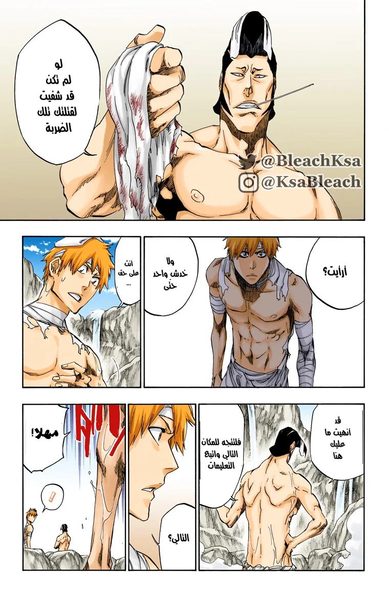 Read Bleach – Digital Colored AR Manga Online