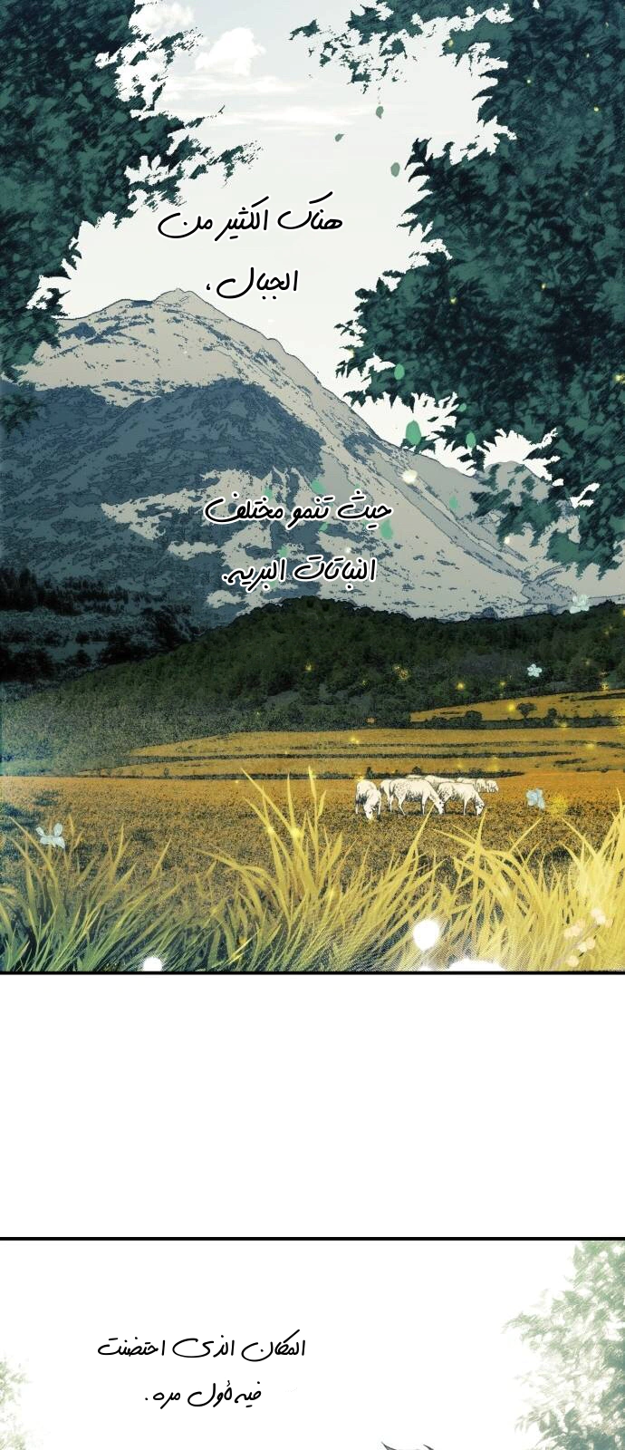 Read Blinded by the Setting Sun AR Manga Online