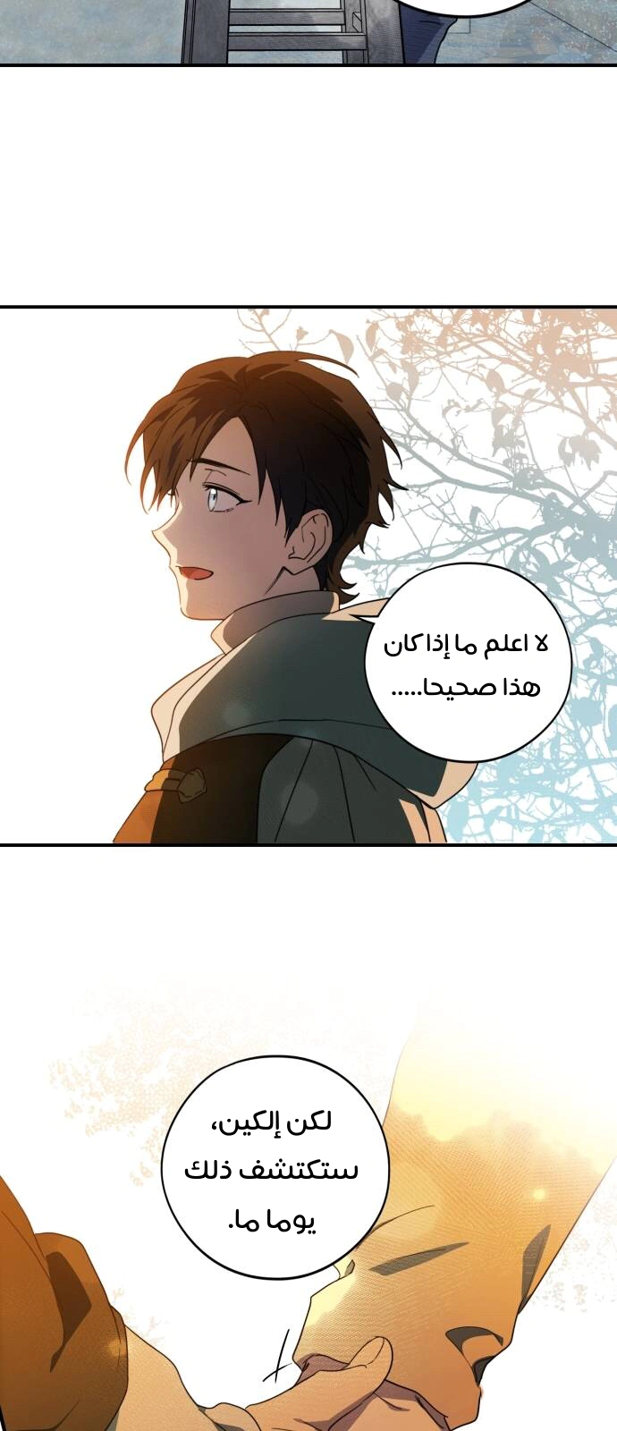 Read Blinded by the Setting Sun AR Manga Online