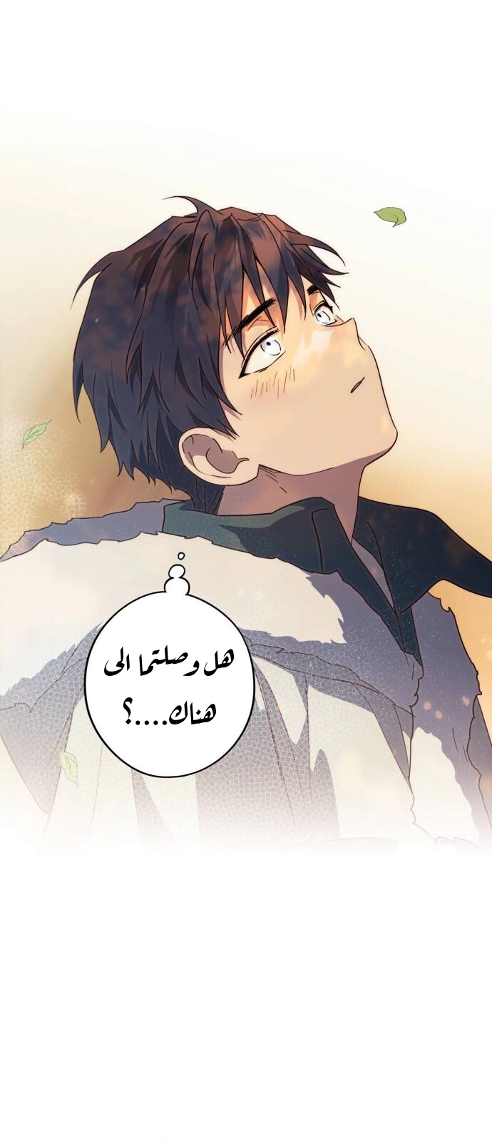 Read Blinded by the Setting Sun AR Manga Online