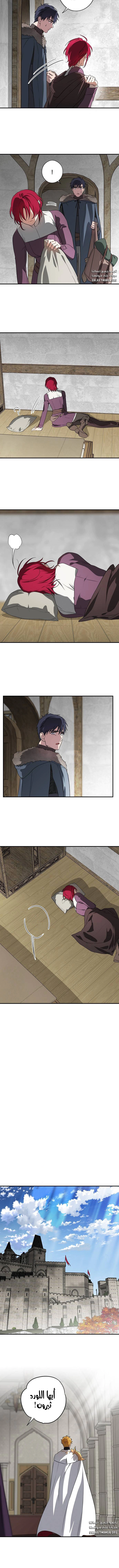 Read Blinded by the Setting Sun AR Manga Online