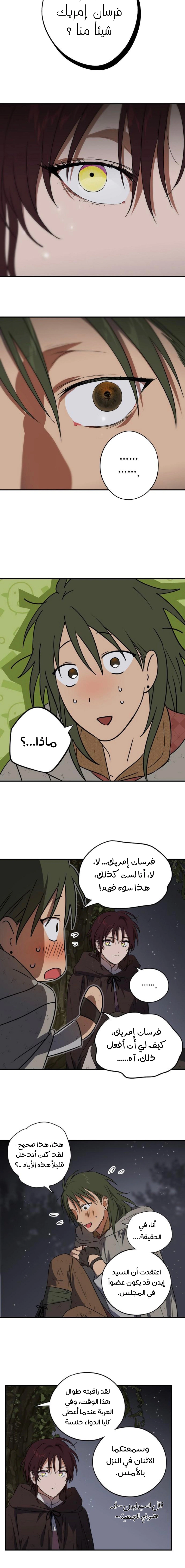 Read Blinded by the Setting Sun AR Manga Online