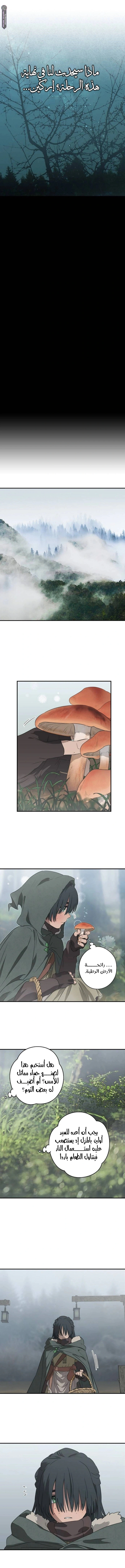 Read Blinded by the Setting Sun AR Manga Online