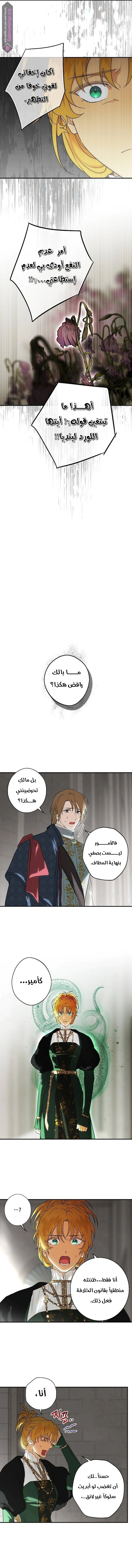 Read Blinded by the Setting Sun AR Manga Online