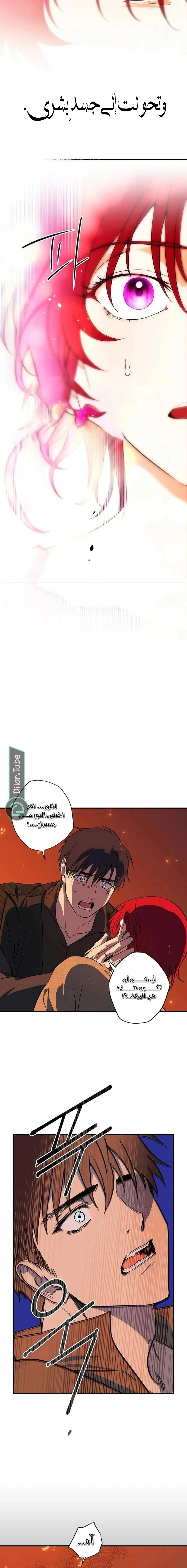 Read Blinded by the Setting Sun AR Manga Online