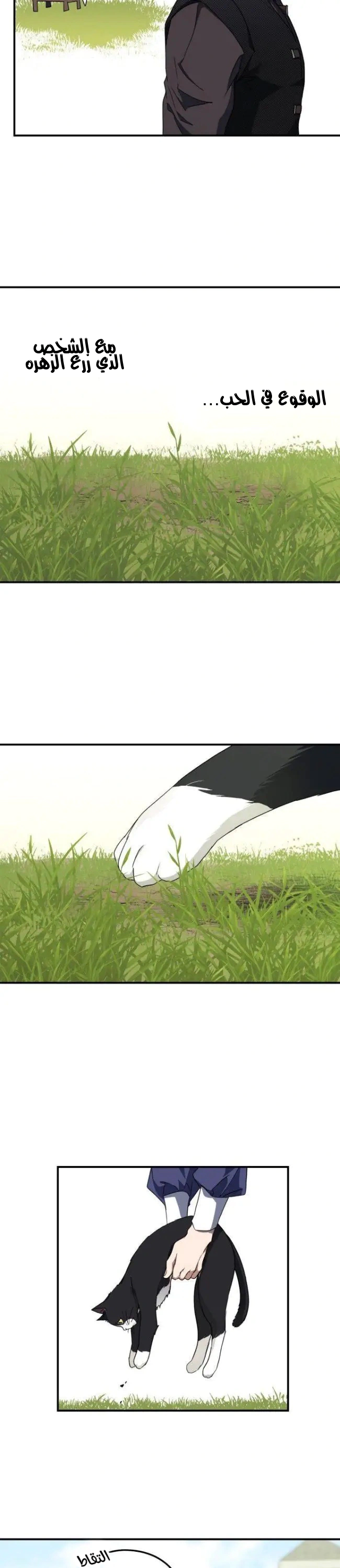 Read Blinded by the Setting Sun AR Manga Online