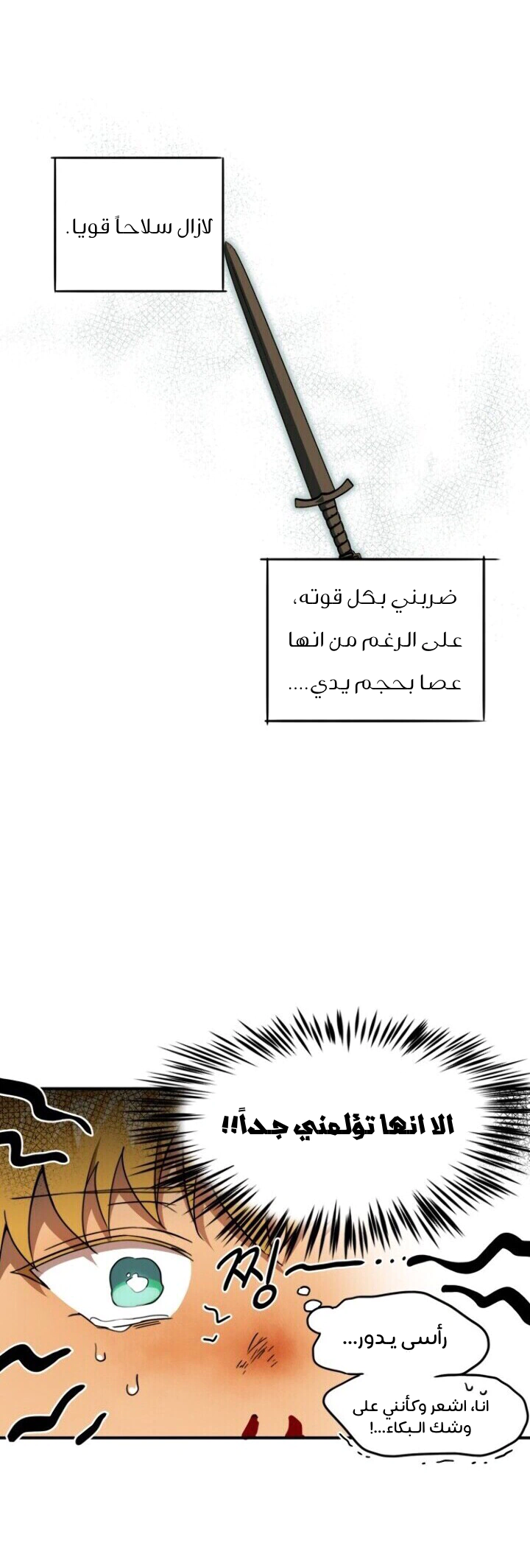 Read Blinded by the Setting Sun AR Manga Online