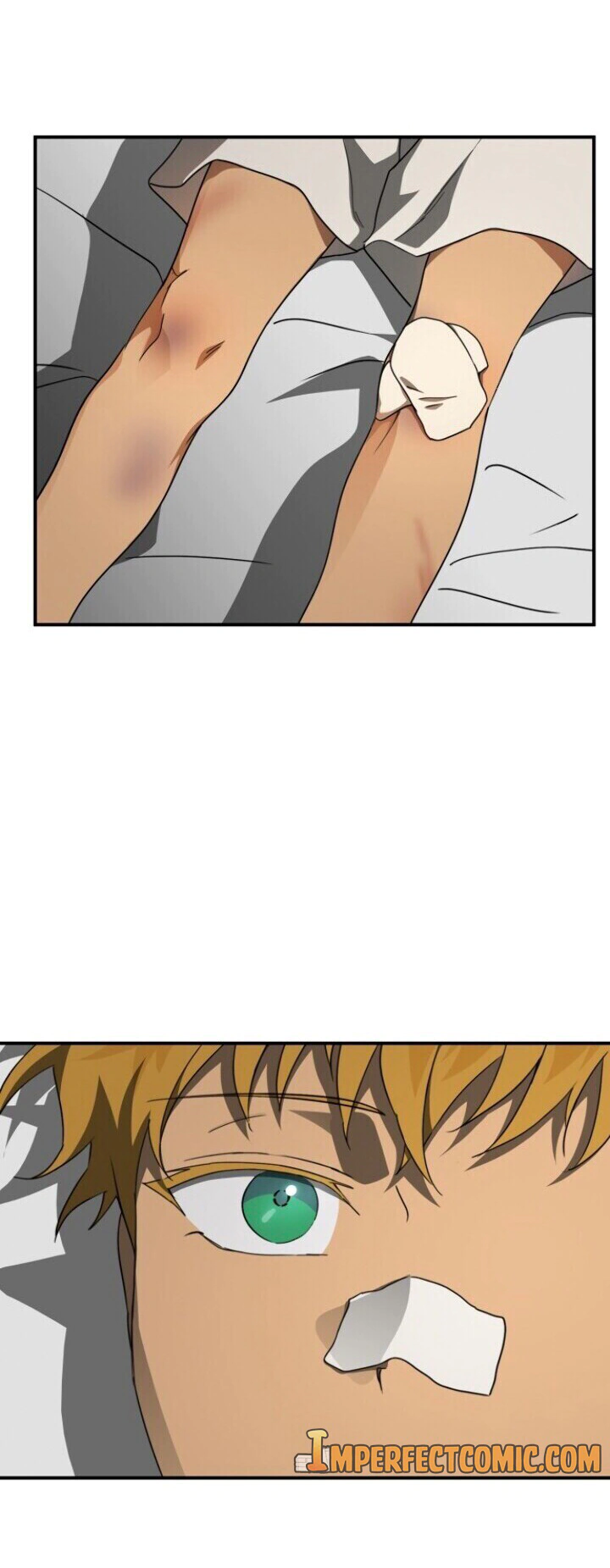 Read Blinded by the Setting Sun AR Manga Online