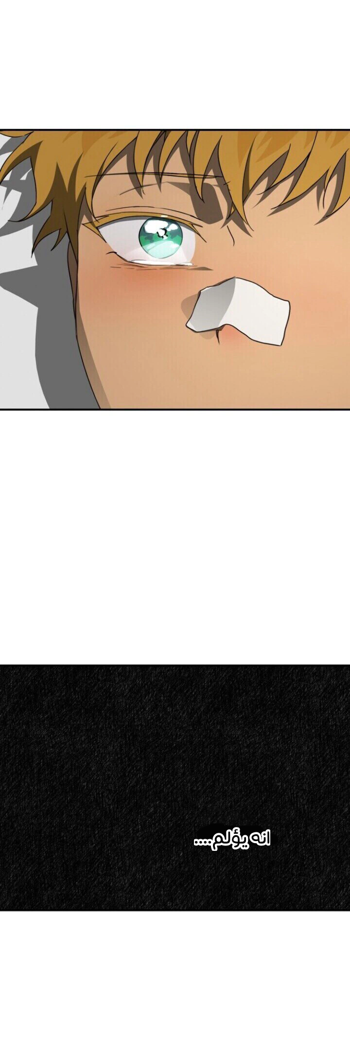Read Blinded by the Setting Sun AR Manga Online