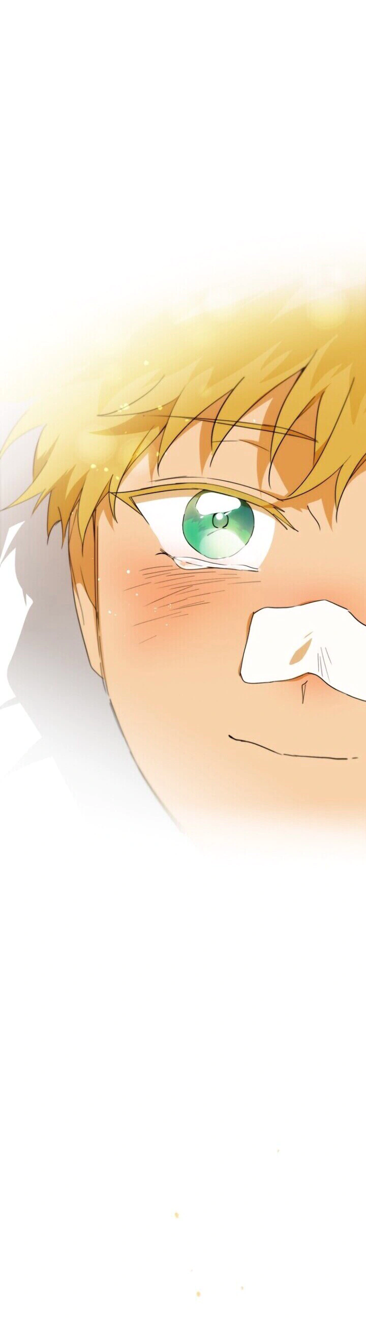 Read Blinded by the Setting Sun AR Manga Online