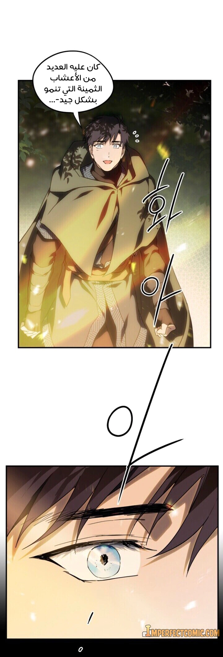 Read Blinded by the Setting Sun AR Manga Online