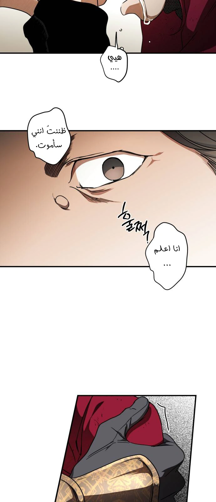 Read Blinded by the Setting Sun AR Manga Online