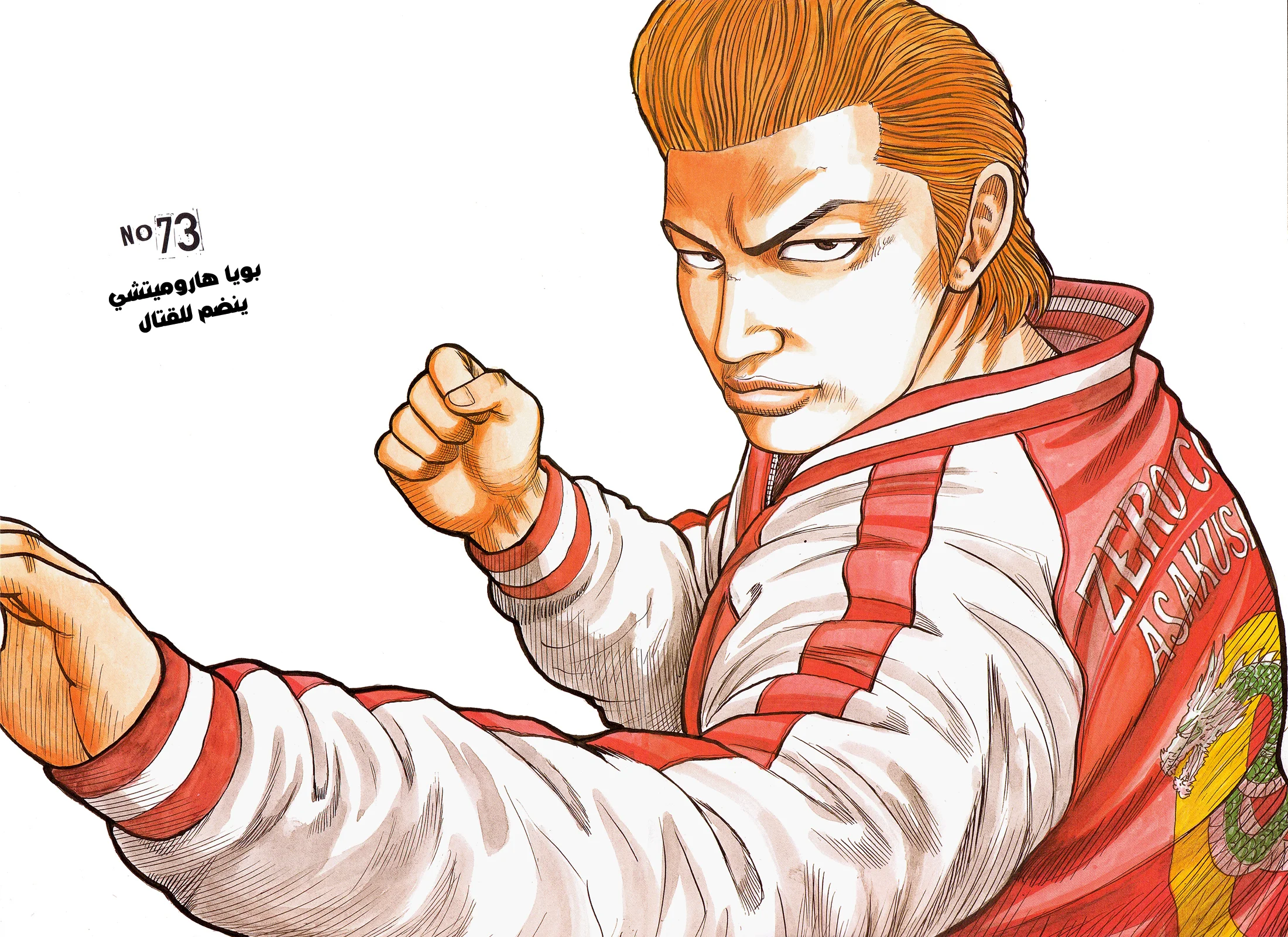 Read CROWS AR Manga Online