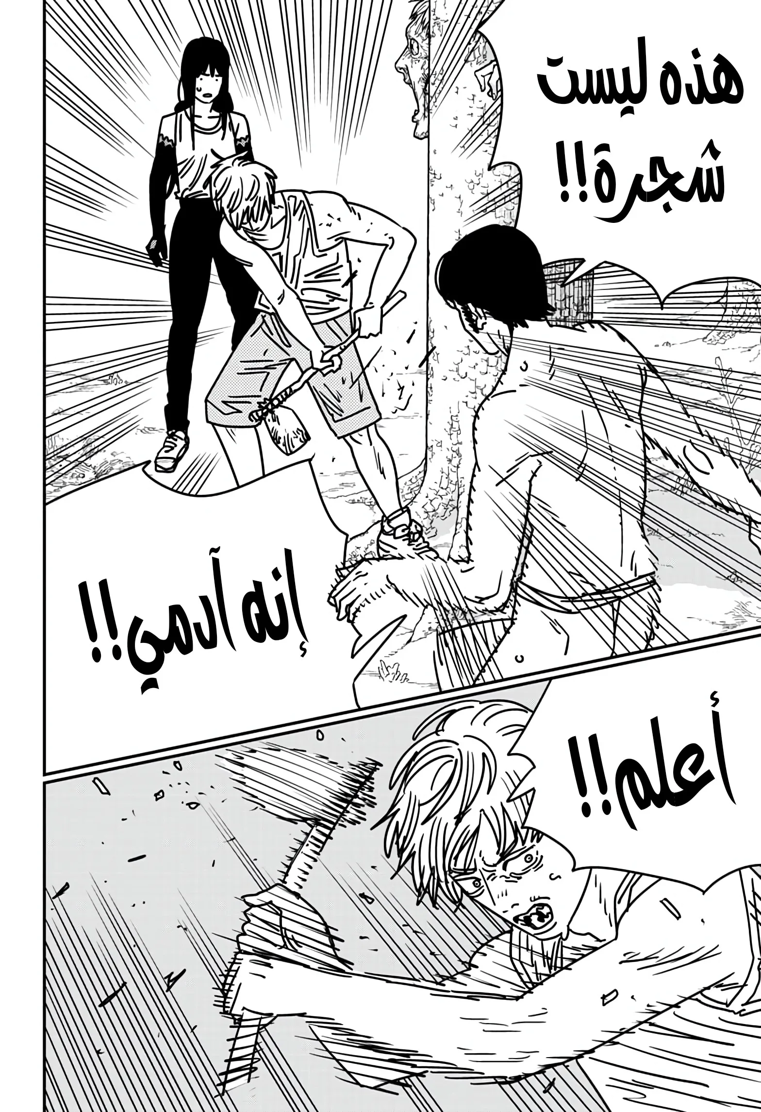 Read Chainsaw Man AR Manga Online