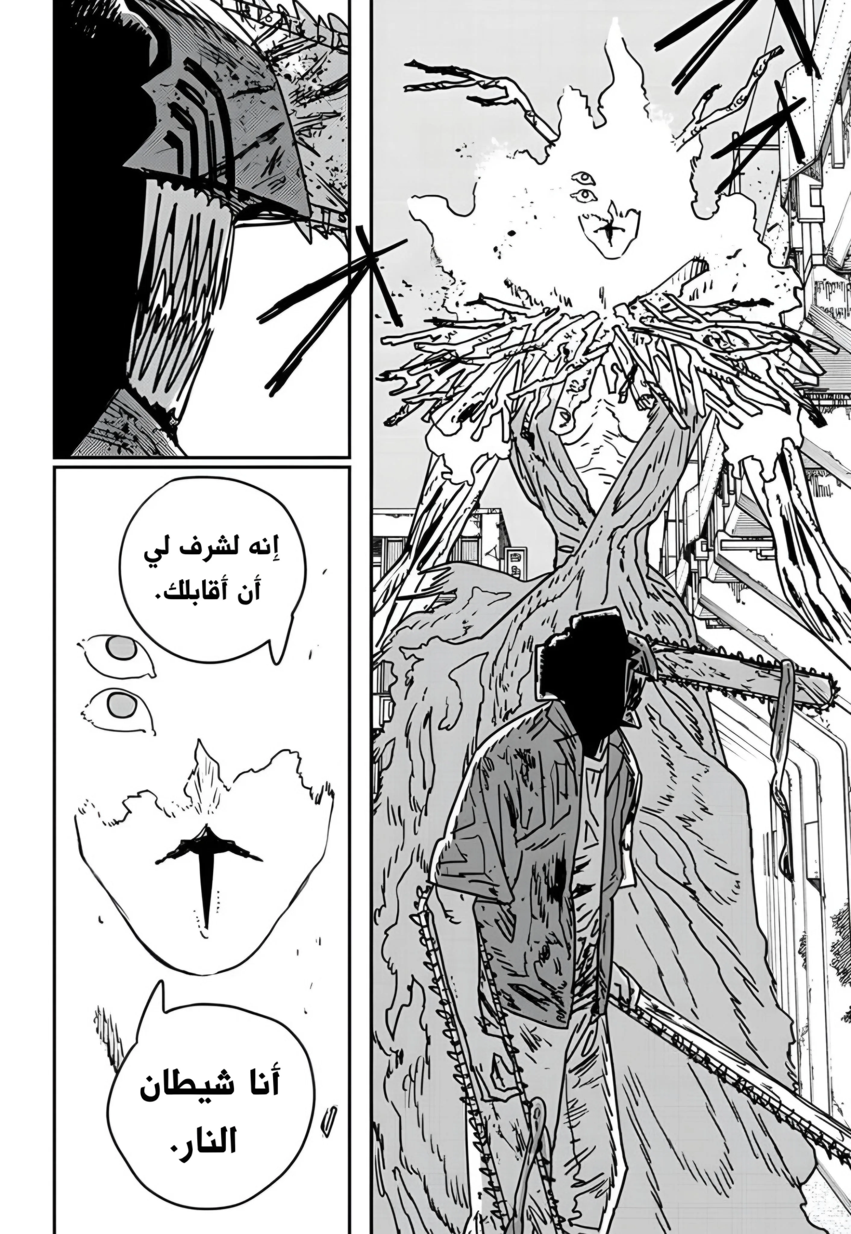 Read Chainsaw Man AR Manga Online