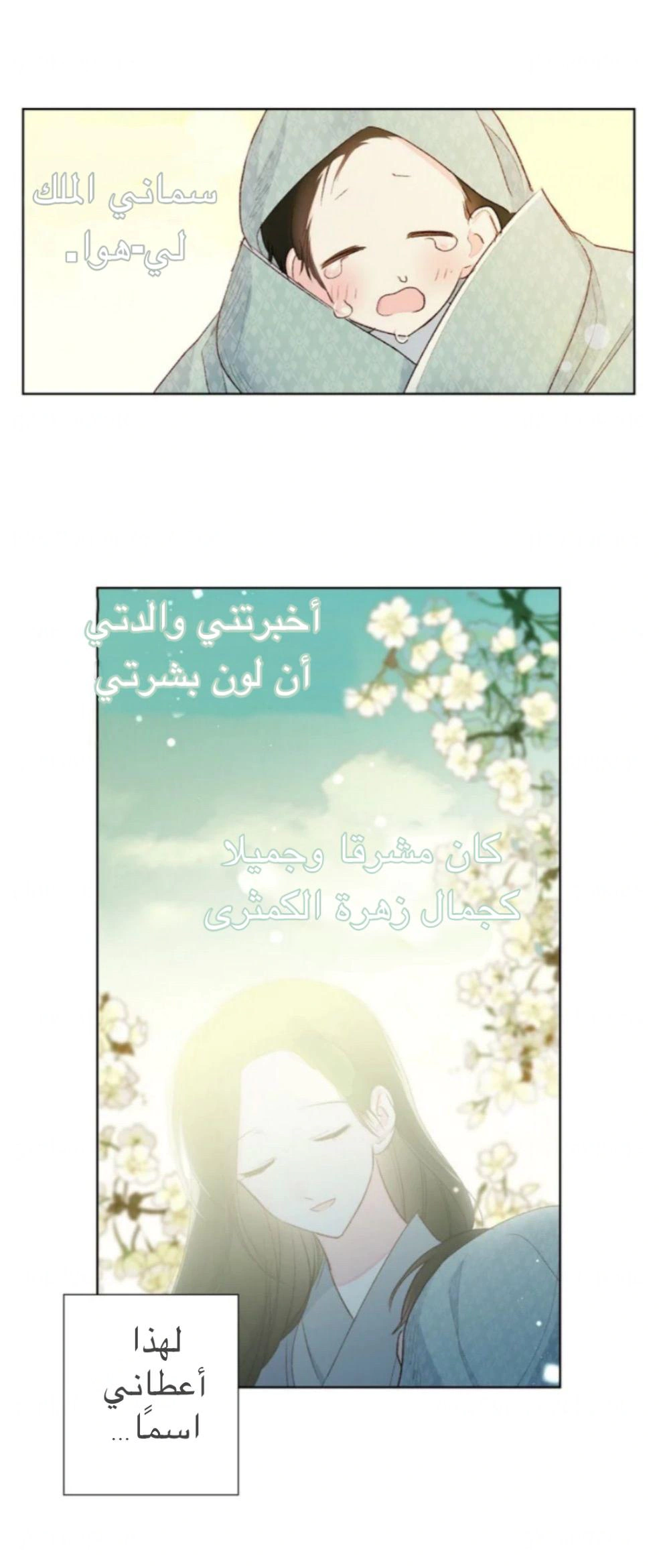 Read Cherry Blossom Love Story AR Manga Online