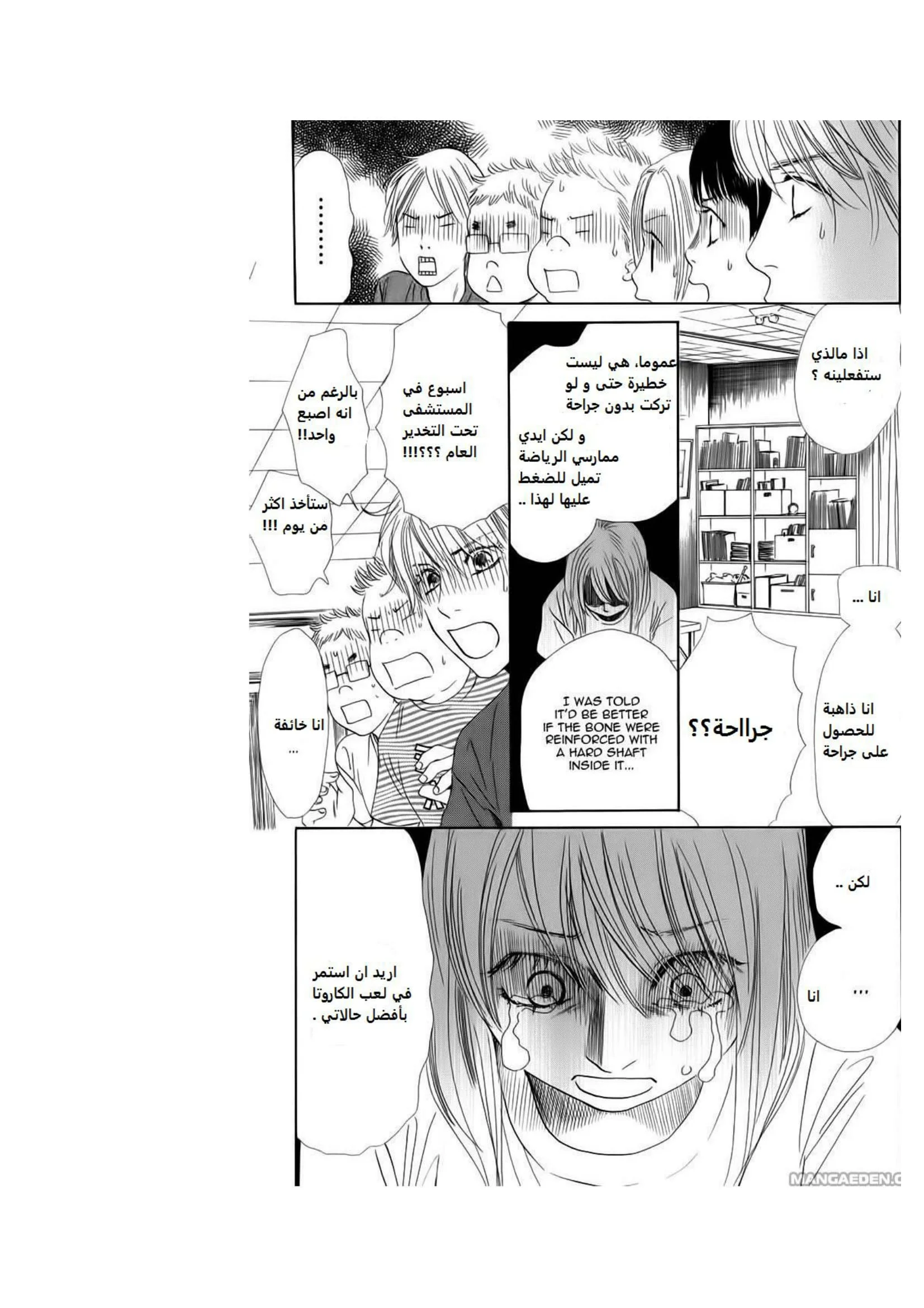 Read Chihayafuru AR Manga Online