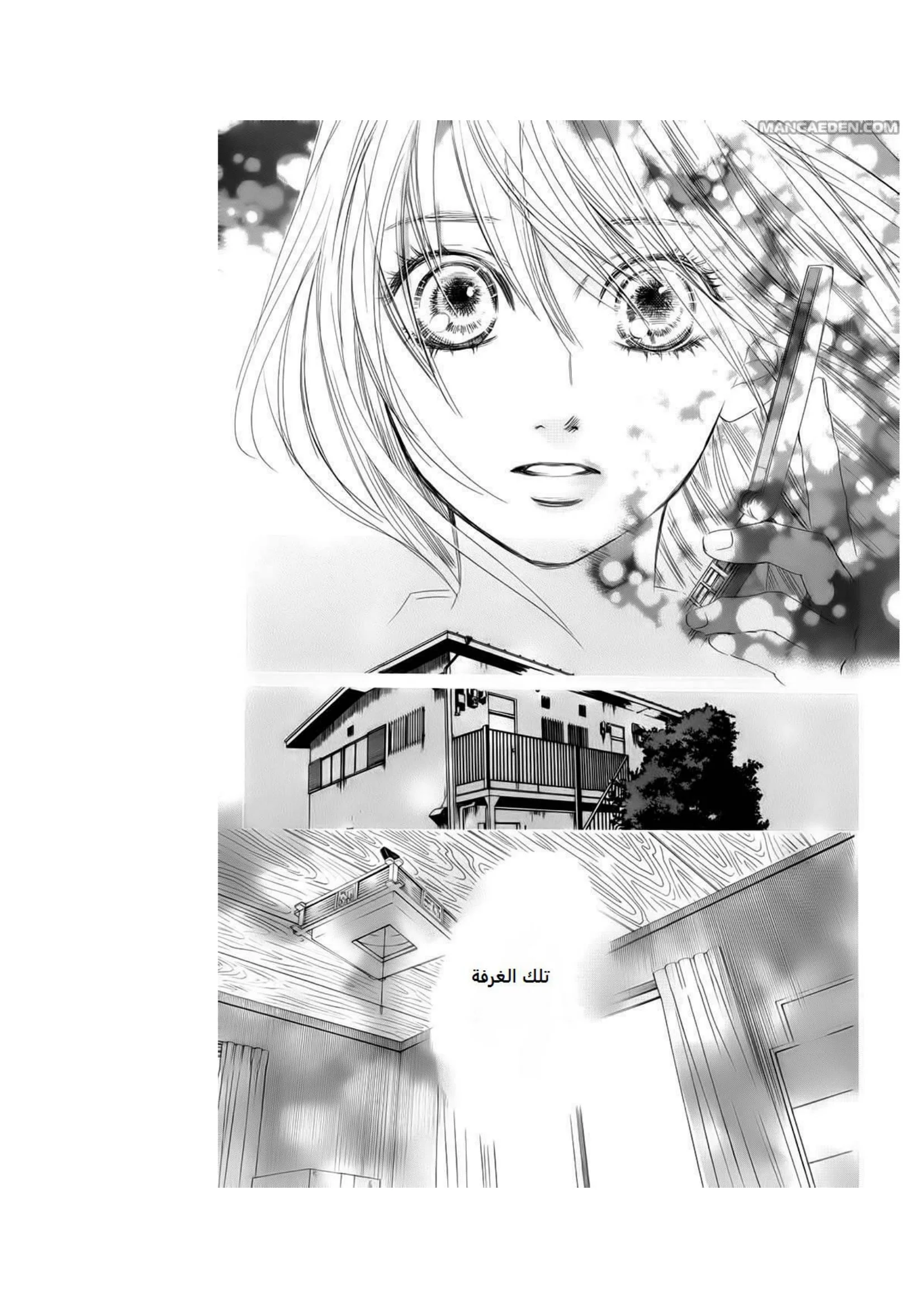 Read Chihayafuru AR Manga Online