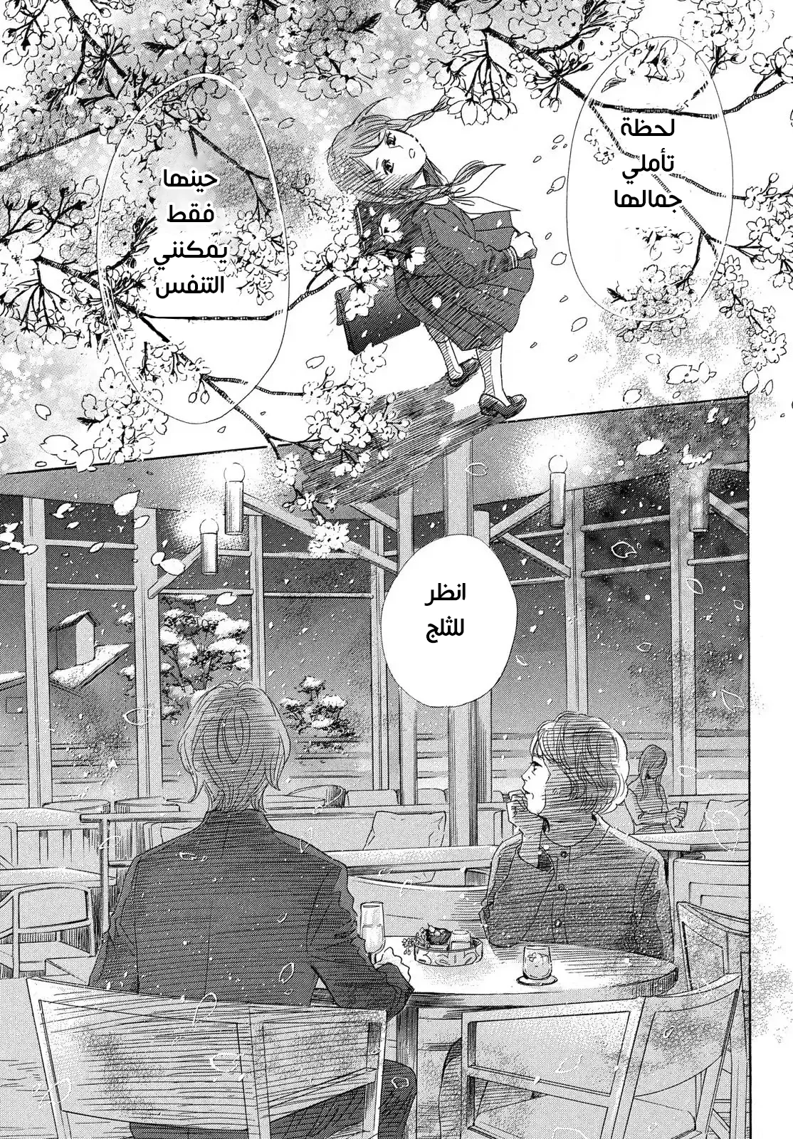 Read Chihayafuru AR Manga Online